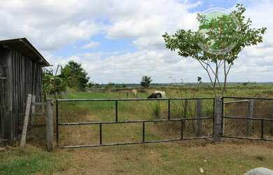 Imagem: A fazenda possui 2100m² de Área e está localizado em Goianésia