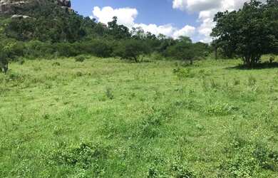 Imagem 9: Vendo fazenda Fazenda / sítio com venda por R$3.200.000