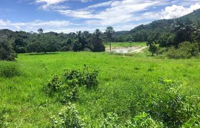 Imagem: A fazenda está localizado em Faina, GO à venda por R$11.850.000