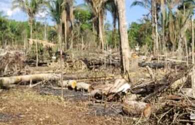 Imagem 12: Terreno em nova olinda do norte