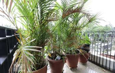 Imagem 5: Apartamento à Venda - Real Parque, 3 Quartos, 120 m2