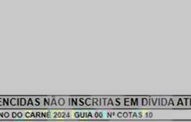 Imagem 3: Lote Barrinha. 400m² de Área