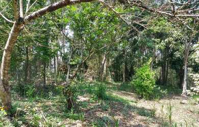 Imagem: A chácara possui 9.700m² de Área e está localizado em Jardim