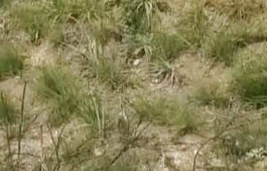 Imagem 5: Jardim Luana Terreno. 160m² de Área