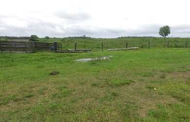 Imagem 9: Fazenda de 280 hectares no Pará R$ 2,7 milhões reais,200 hectares de pasto