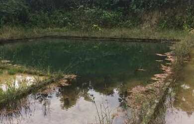 Imagem 3: Fazenda de 280 hectares no Pará R$ 2,7 milhões reais,200 hectares de pasto