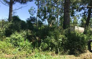 Imagem 3: Lote/Terreno para venda tem 250 metros quadrados em Sao Joao Batista III - Peruíbe - SP