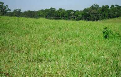 Imagem 14: Area-Industrial-para-Venda-em-Mogi-das-Cruzes-Mogi-das-Cruzes-SP