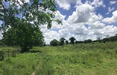 Imagem 14: Vendo fazenda Fazenda / sítio com venda por R$3.200.000