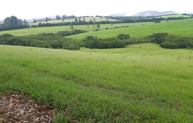 Imagem 6: fazenda em 3 corações 987 hectares 53.000.000.00 edi-pv