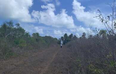 Imagem 12: 6 lotes juntos São Miguel do gostoso