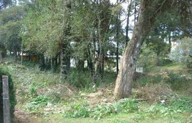 Imagem: O terreno possui 636m² de Área e está localizado em Canela