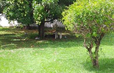 Imagem 5: Casa para venda tem 145 metros quadrados Pau Amarelo - Paulista - PE