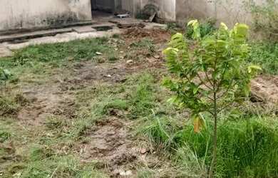 Imagem 8: Alugo CASA em LAGARTO-SE. Varanda, 200m² de Área, 2 Vagas na garageme2...