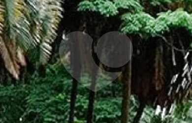 Imagem 13: Apartamento-São Paulo-VILA ROMANA