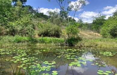 Imagem: O terreno está localizado em Jaboticatubas, MG à venda por