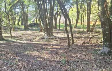 Imagem 12: Terreno em São Virgílio, Caxias do Sul
