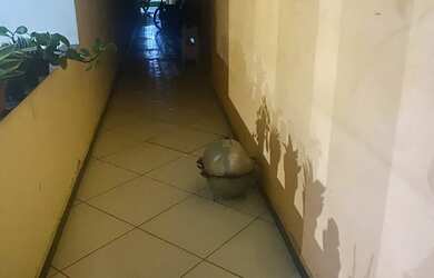 Imagem 3: Casa vender c escritura da praça Santa Luzia