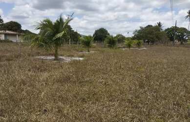 Imagem 11: Sitio à venda. 