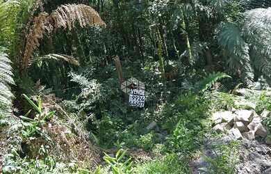 Imagem: O terreno possui 1317m² de Área e está localizado em Luiza