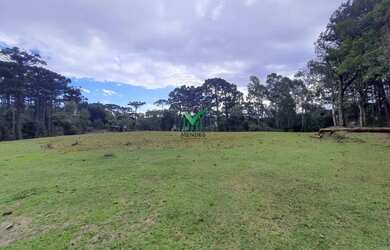 Imagem: TERRENO INDUSTRIAL ATTILO CITTON