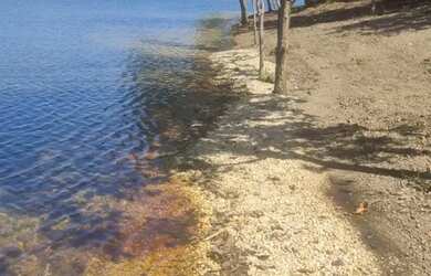 Imagem: A fazenda possui 3.500m² de Área e está localizado em Plano