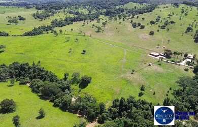 Imagem 11: Fazenda à Venda em Sanclerlândia - GO 39 Alqueires 100 Cultura