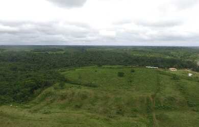 Imagem 10: Fazenda de 280 hectares no Pará R$ 2,7 milhões reais,200 hectares de pasto