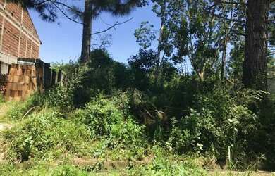 Imagem 1: Lote/Terreno para venda tem 250 metros quadrados em Sao Joao Batista III - Peruíbe - SP