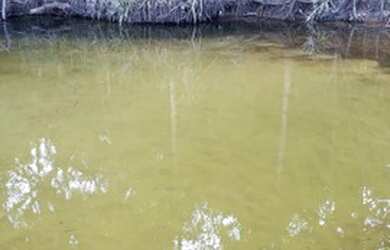 Imagem: A chácara está localizado em Cauamé, Boa Vista à venda por