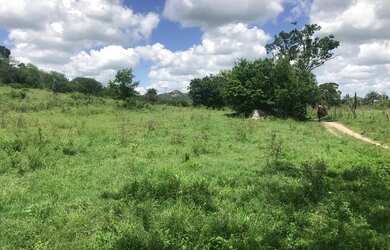 Imagem 5: Vendo fazenda Fazenda / sítio com venda por R$3.200.000