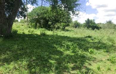 Imagem 12: Vendo fazenda Fazenda / sítio com venda por R$3.200.000