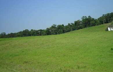 Imagem 12: Area-Industrial-para-Venda-em-Mogi-das-Cruzes-Mogi-das-Cruzes-SP