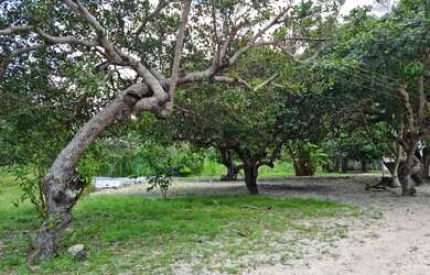 Imagem: A chácara possui 21000m² de Área e está localizado em Traíras