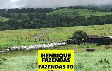 Imagem: A fazenda possui 327.200m² de Área e está localizado em
