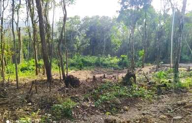 Imagem 11: Lote/Terreno para venda tem 1000 metros quadrados em Jardim Rincão - Arujá - SP