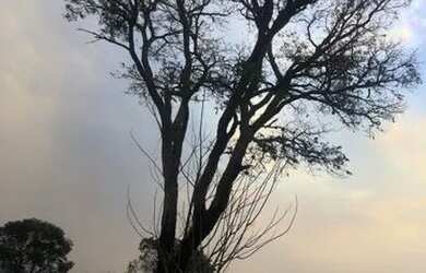 Imagem 3: Vendio meu terreno em Atibaia