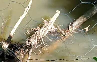 Imagem: A chácara possui 2.000m² de Área e está localizado em Juquitiba