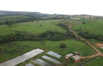 Imagem 13: Melhor Fazenda do Brasil, Goiás, 400 Alqueires, Boa Água, Plantar, Pecuária,...