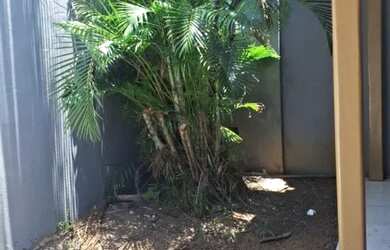 Imagem 3: Casa 5 Quartos no Rio Vermelho - Em Frente à Casa de Jorge Amado