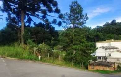 Imagem 3: CAXIAS DO SUL - Terreno Padrão - SÃO LUIZ DA 6ª LÉGUA