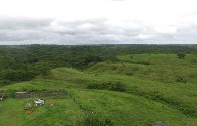 Imagem 11: Fazenda de 280 hectares no Pará R$ 2,7 milhões reais,200 hectares de pasto