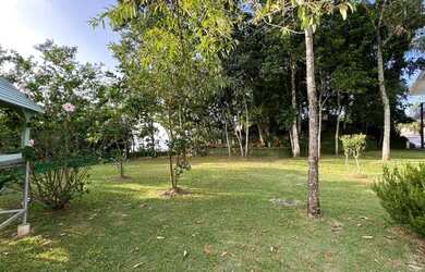 Imagem 8: Casa na beira do rio, raridade