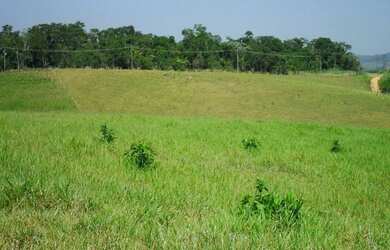 Imagem 13: Area-Industrial-para-Venda-em-Mogi-das-Cruzes-Mogi-das-Cruzes-SP