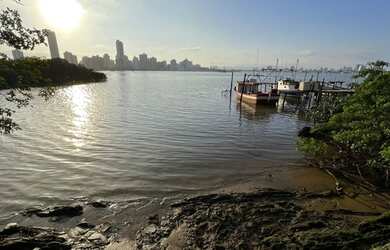 Imagem 1: Casa na beira do rio, raridade