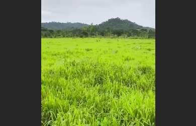 Imagem: A fazenda possui 160.000m² de Área e está localizado em