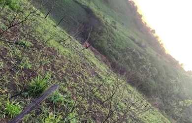 Imagem 6: Terreno 7x35. 