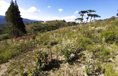 Imagem 6: Terreno / Venda Terreno / lote com venda por R$230.000