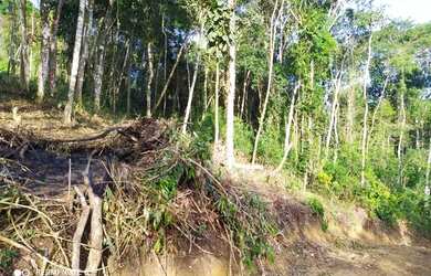 Imagem 2: Lote/Terreno para venda tem 1000 metros quadrados em Jardim Rincão - Arujá - SP