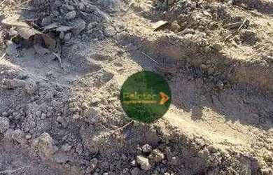 Imagem 7: Fazenda à venda, 13400000 m² por R$ 200.000.000,00 - 256 - Tesouro/MT